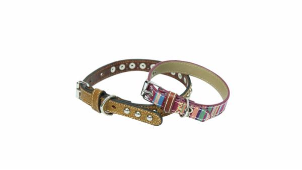 pet collar